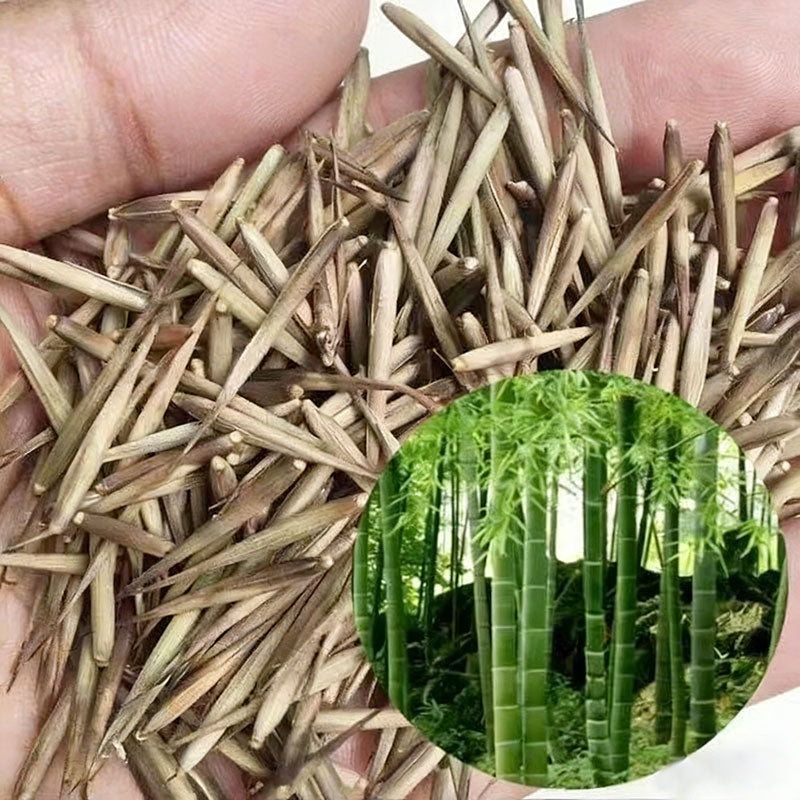 Bamboo seeds | 200pcs Per Bag