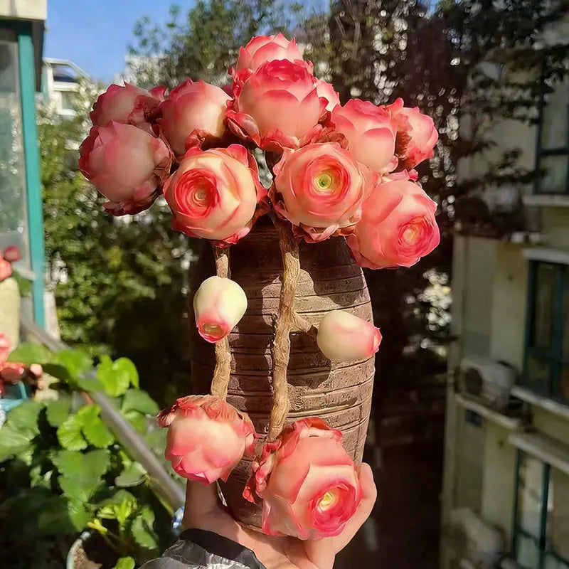 Mountain Rose Seeds | 500pcs Per Bag