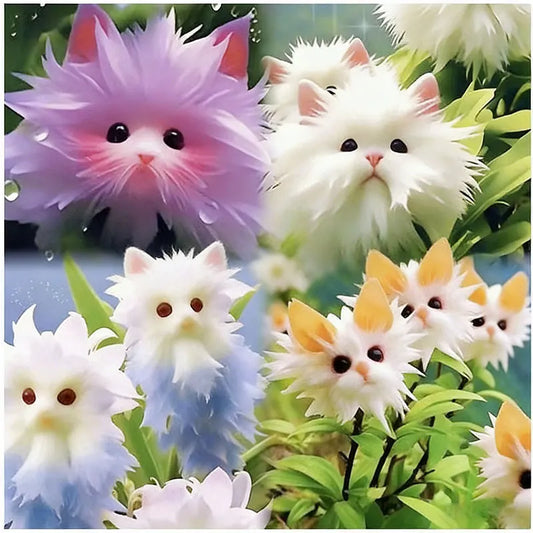 Face cat orchid Seeds | 550pcs Per Bag