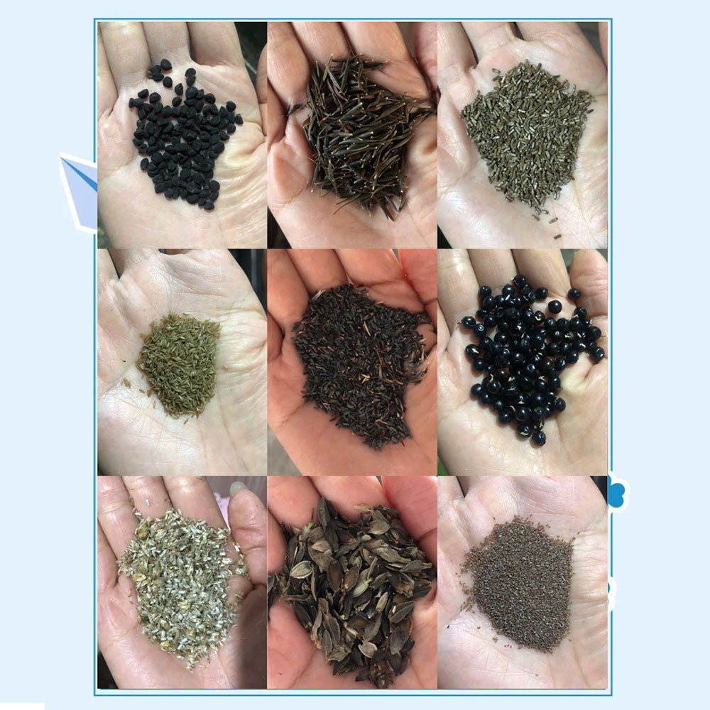 Seed | Dropshipping Service Worldwide