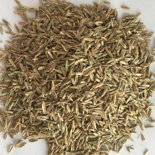Calendula seeds | 1000pcs Per Bag