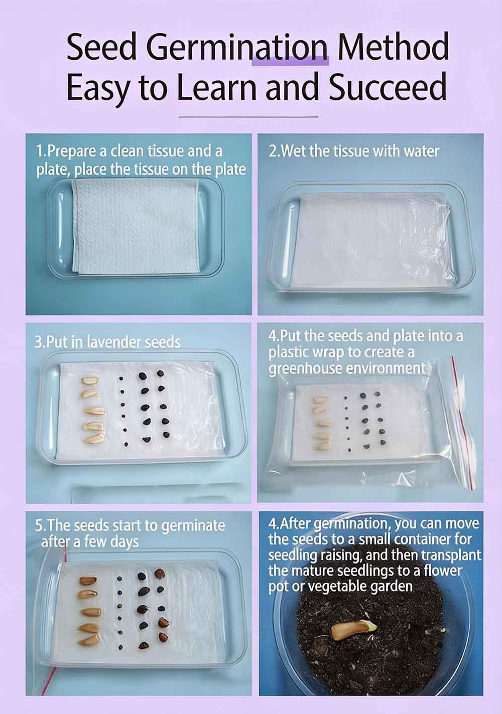How to Increase Germination Rate