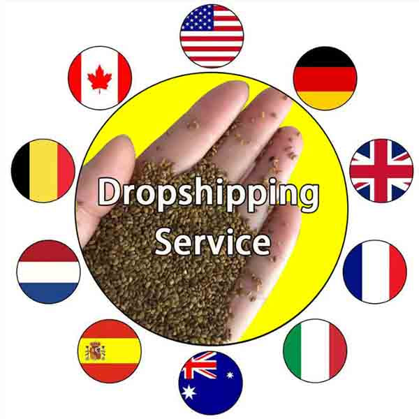 Dropshipping Custom Service