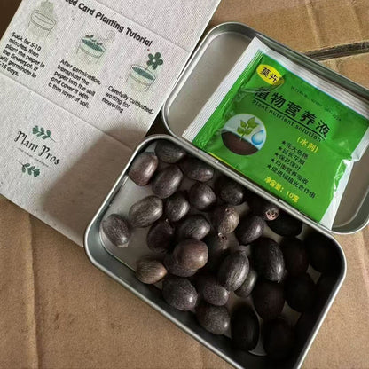 Seed Quantity Customization, Packaging Customization, Variety Customization