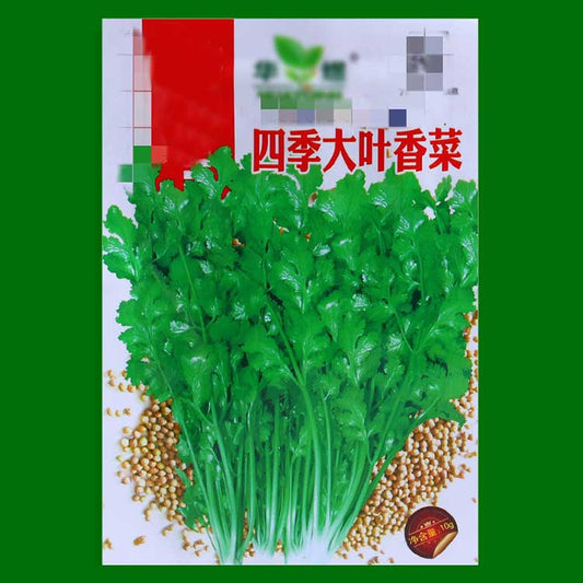 vegetable seeds