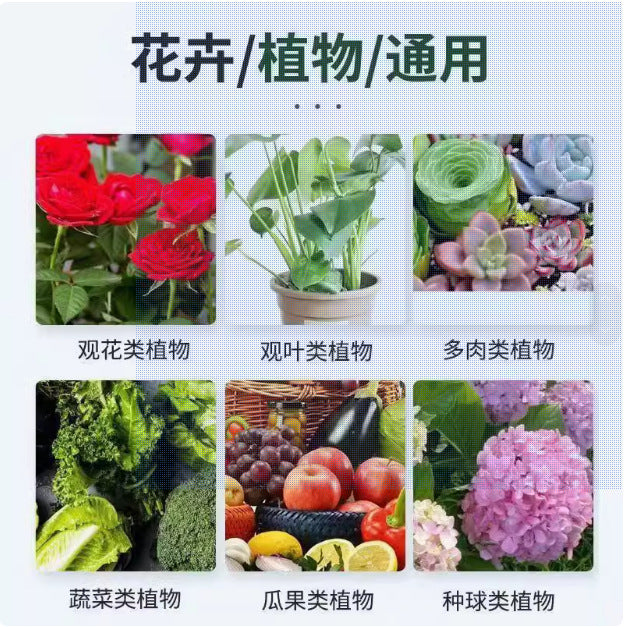 10 Pack General Flower Fertilizer