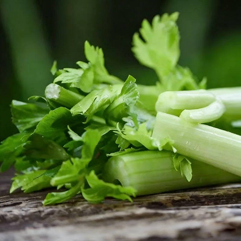 Celery Seeds | 2000pcs Per Bag