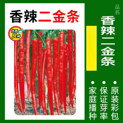 Vegetable Seeds | 10 Grams Per Bag