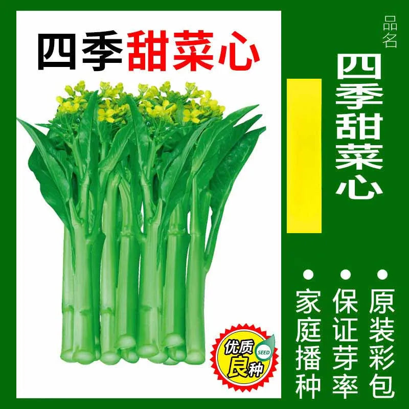 Vegetable Seeds | 10 Grams Per Bag