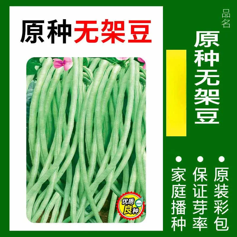 Vegetable Seeds | 10 Grams Per Bag