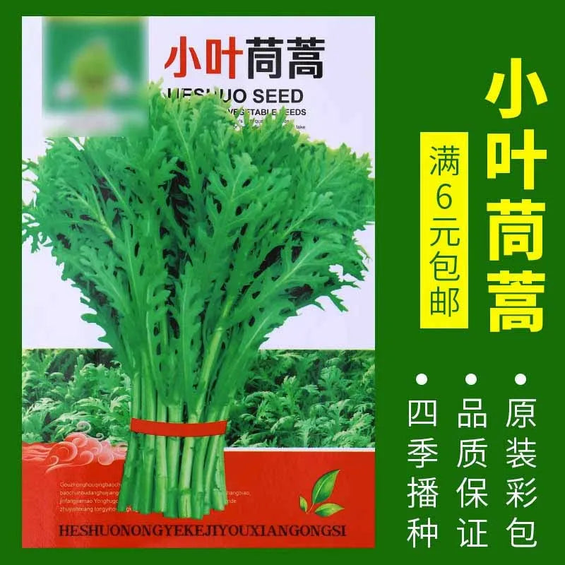 Vegetable Seeds | 10 Grams Per Bag