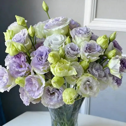 Eustoma grandiflorum Seeds | 500pcs Per Bag