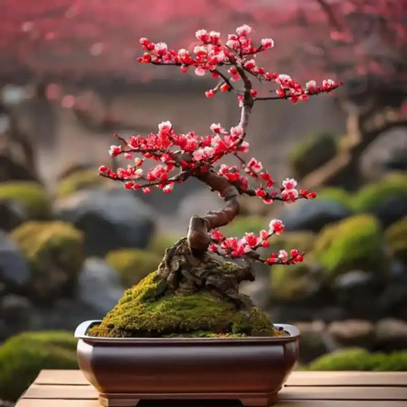 Bonsai flowers Seeds | 10 Grams Per Bag