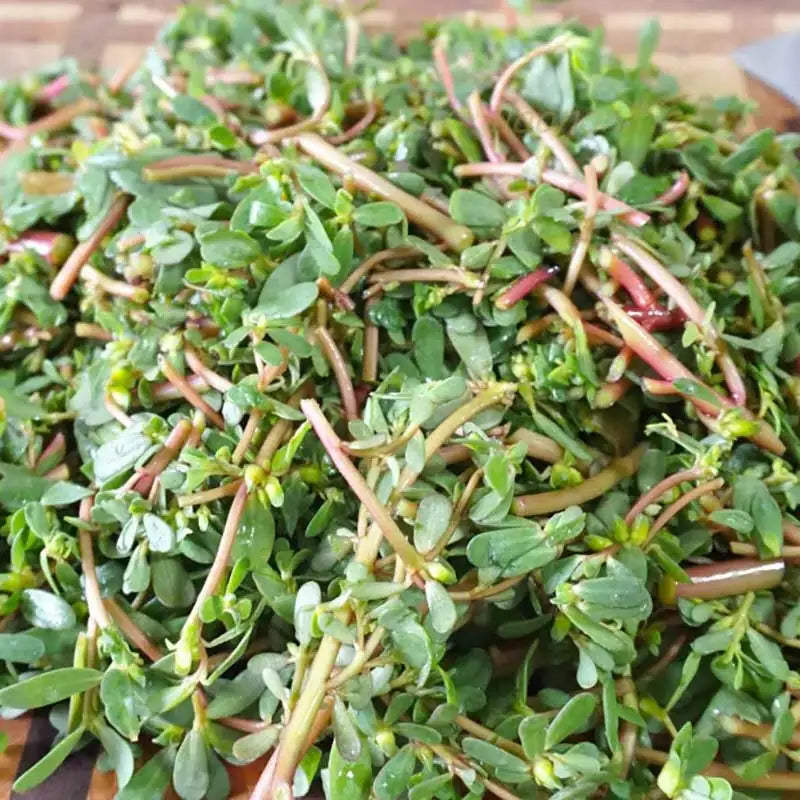 Vegetable Seeds | 10 Grams Per Bag
