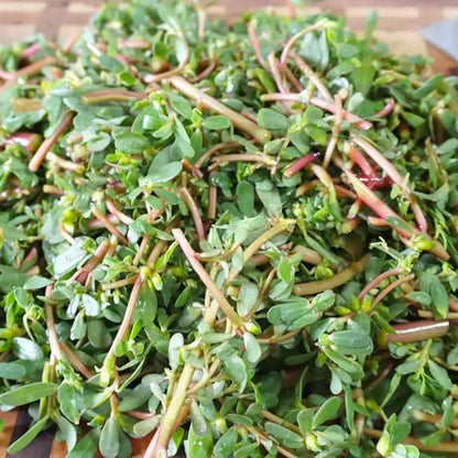 Vegetable Seeds | 10 Grams Per Bag