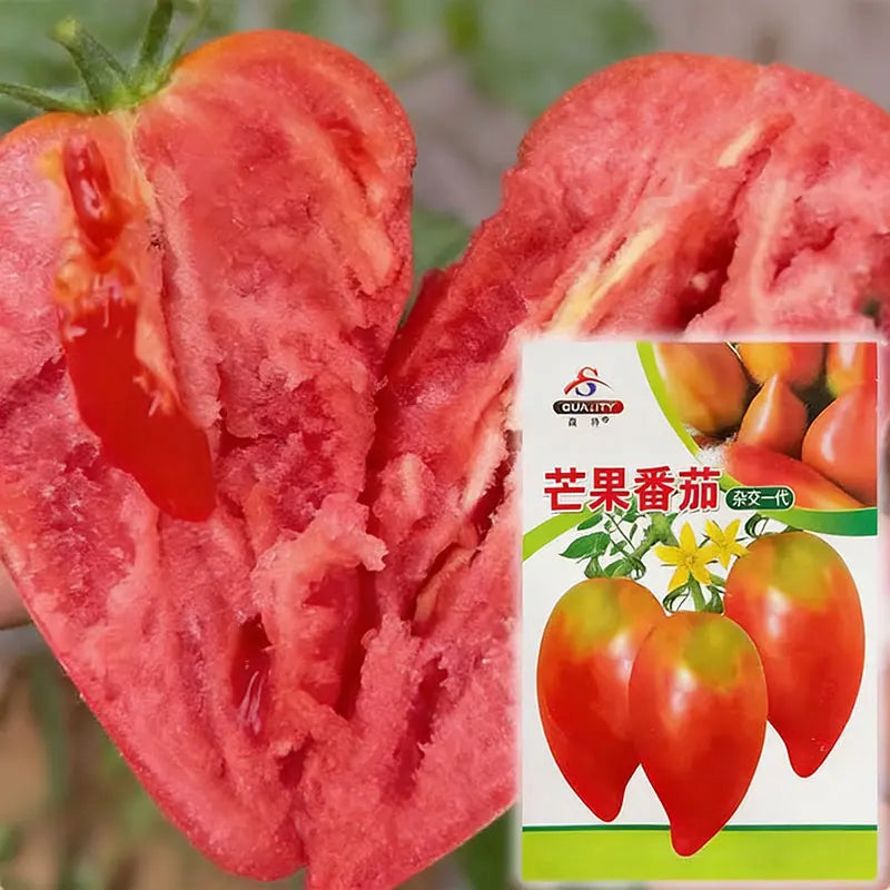 Tomato Seeds | 100pcs Per Bag