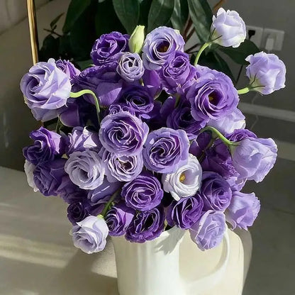 Eustoma grandiflorum Seeds | 500pcs Per Bag