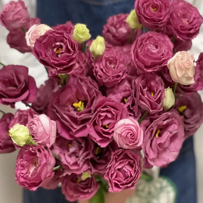 Eustoma grandiflorum Seeds | 1000pcs Per Bag