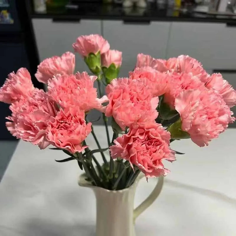 Carnation Seeds | 528pcs Per Bag