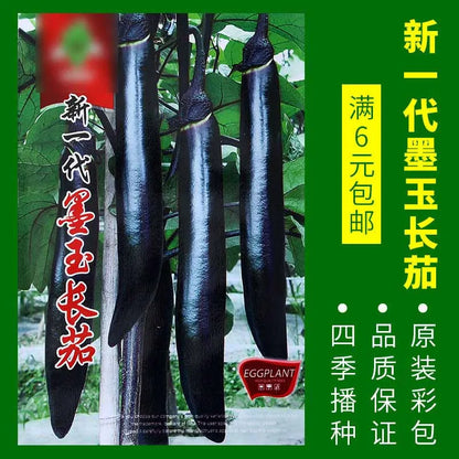 Vegetable Seeds | 10 Grams Per Bag