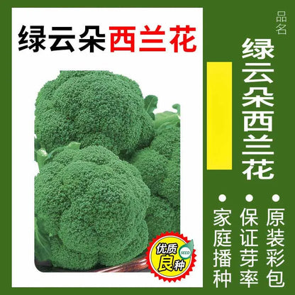 Vegetable Seeds | 10 Grams Per Bag