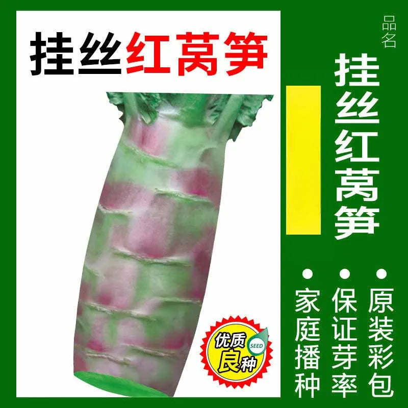 Vegetable Seeds | 10 Grams Per Bag