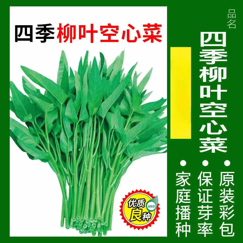 Vegetable Seeds | 10 Grams Per Bag