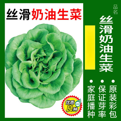 Vegetable Seeds | 10 Grams Per Bag