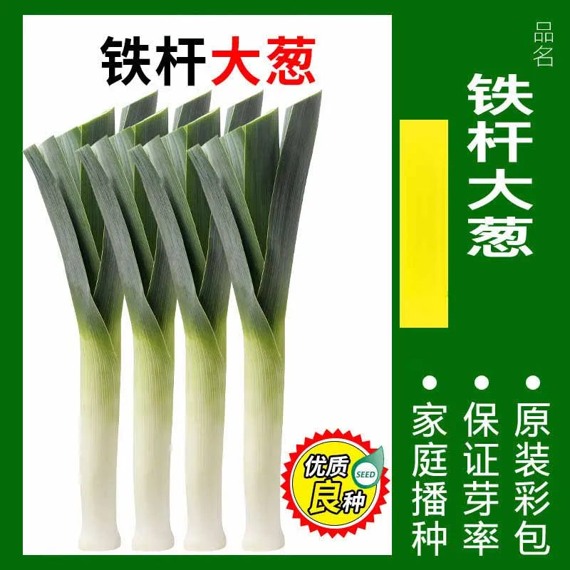 Vegetable Seeds | 10 Grams Per Bag