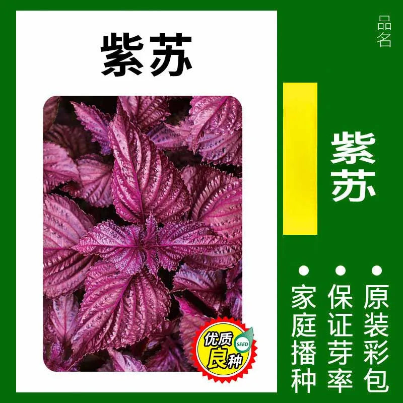 Vegetable Seeds | 10 Grams Per Bag