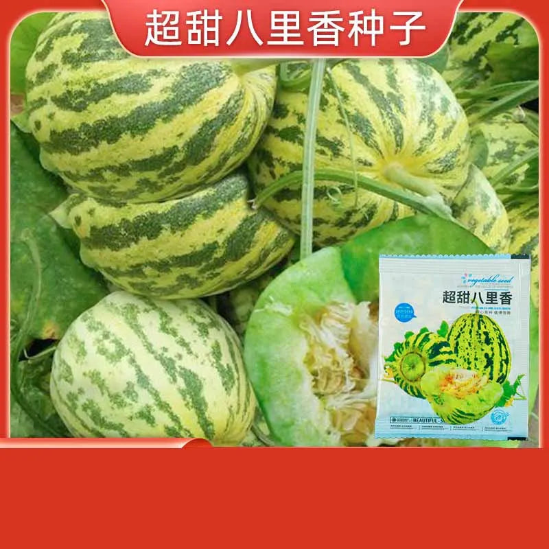 Vegetable Seeds | 10 Grams Per Bag