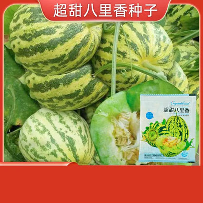 Vegetable Seeds | 10 Grams Per Bag