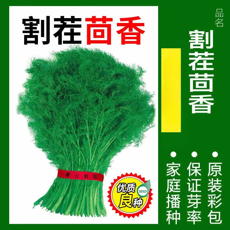 Vegetable Seeds | 10 Grams Per Bag