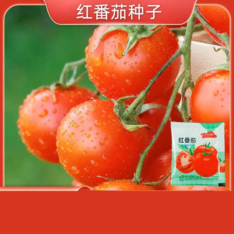 Vegetable Seeds | 10 Grams Per Bag