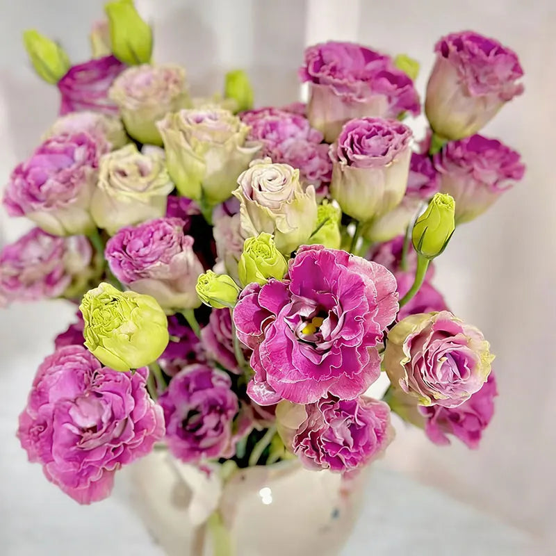 Eustoma grandiflorum Seeds | 1000pcs Per Bag