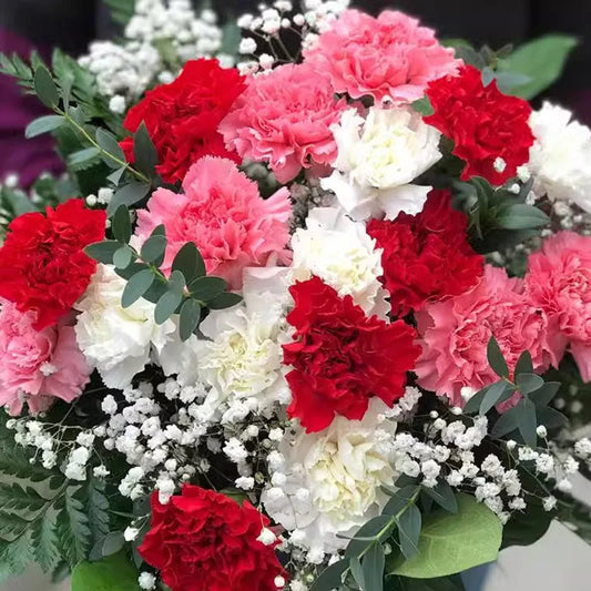 Carnation Seeds | 300pcs Per Bag