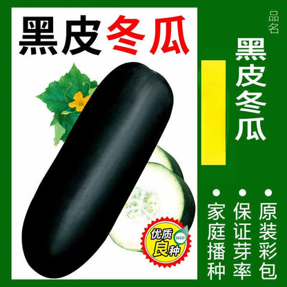 Vegetable Seeds | 10 Grams Per Bag