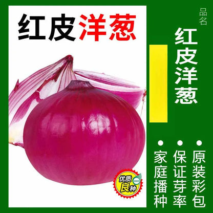 Vegetable Seeds | 10 Grams Per Bag