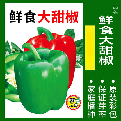 Vegetable Seeds | 10 Grams Per Bag