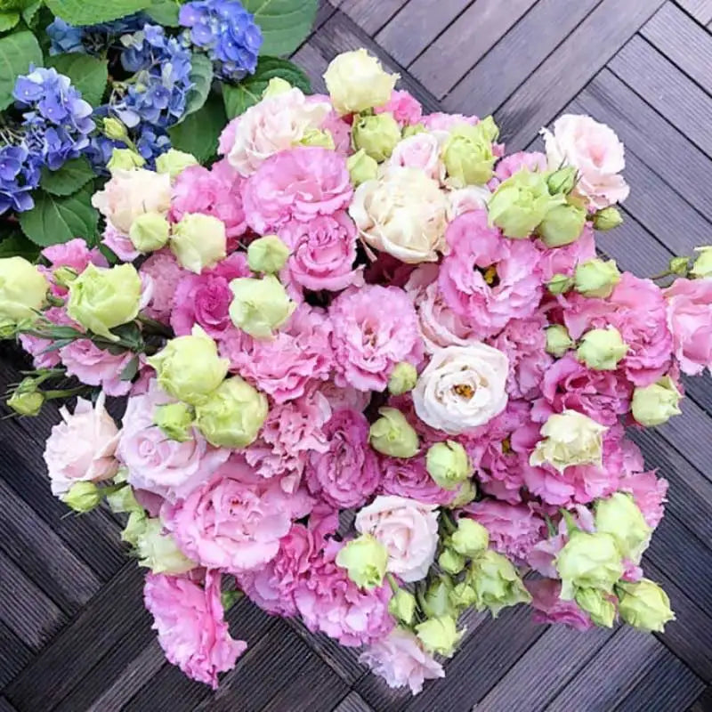 Eustoma grandiflorum Seeds | 1000pcs Per Bag