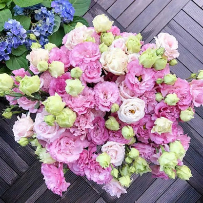 Eustoma grandiflorum Seeds | 1000pcs Per Bag