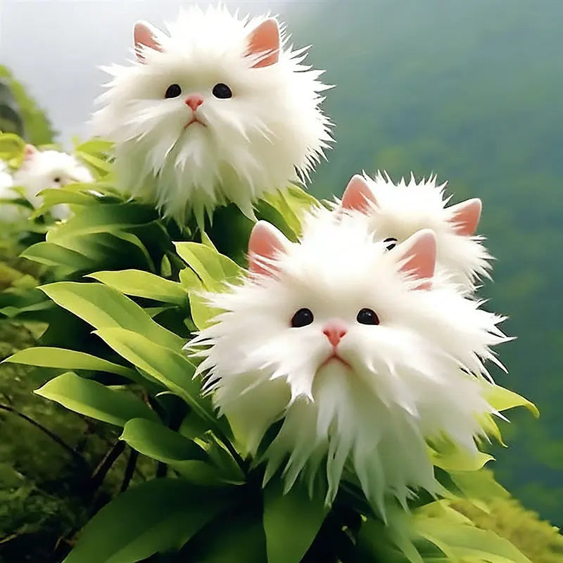 Face cat orchid Seeds | 550pcs Per Bag