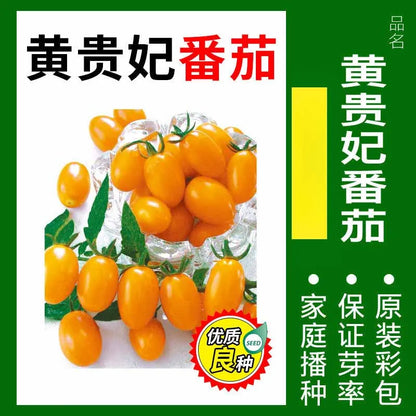 Vegetable Seeds | 10 Grams Per Bag