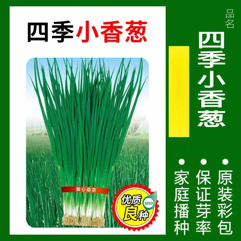 Vegetable Seeds | 10 Grams Per Bag