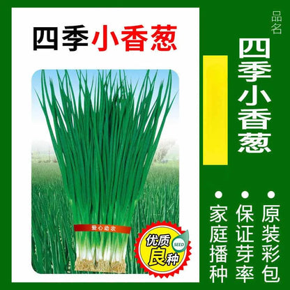 Vegetable Seeds | 10 Grams Per Bag