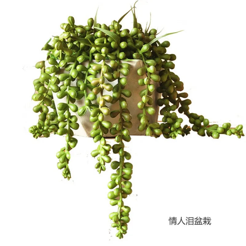 Bonsai flowers Seeds | 10 Grams Per Bag