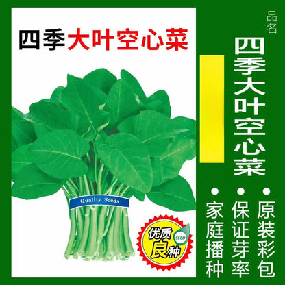 Vegetable Seeds | 10 Grams Per Bag