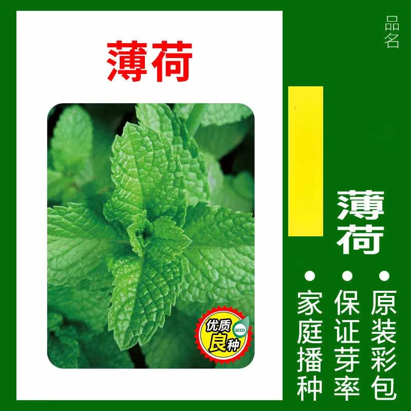 Vegetable Seeds | 10 Grams Per Bag