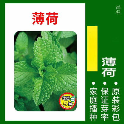 Vegetable Seeds | 10 Grams Per Bag