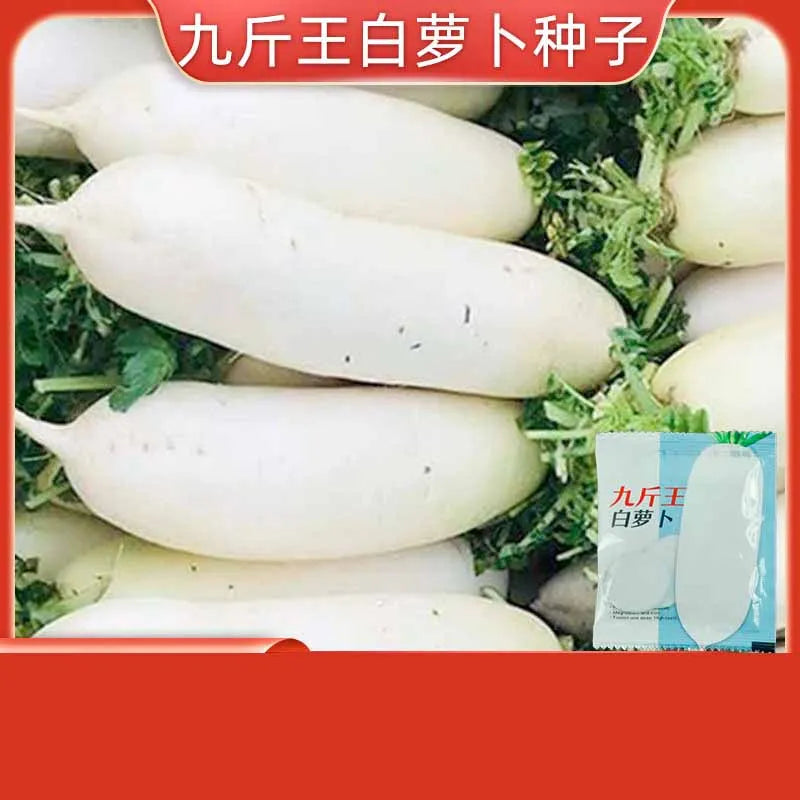 Vegetable Seeds | 10 Grams Per Bag
